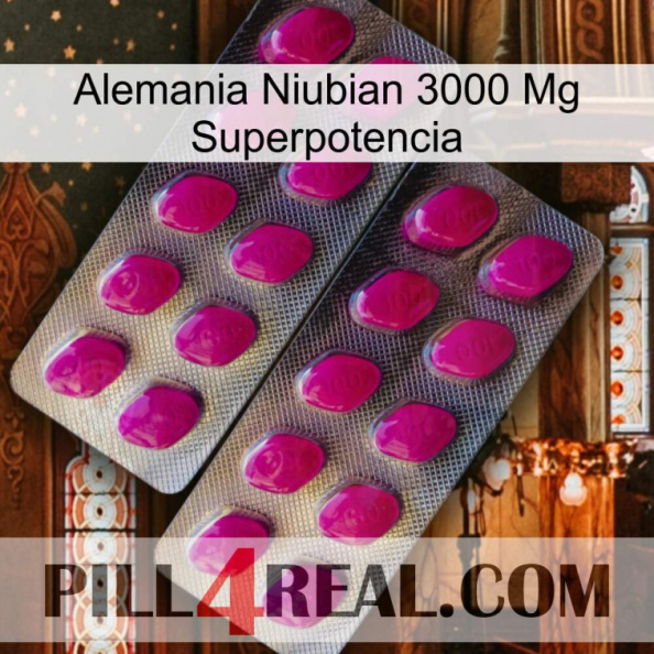 Germany Niubian 3000 Mg Superpower 10.jpg